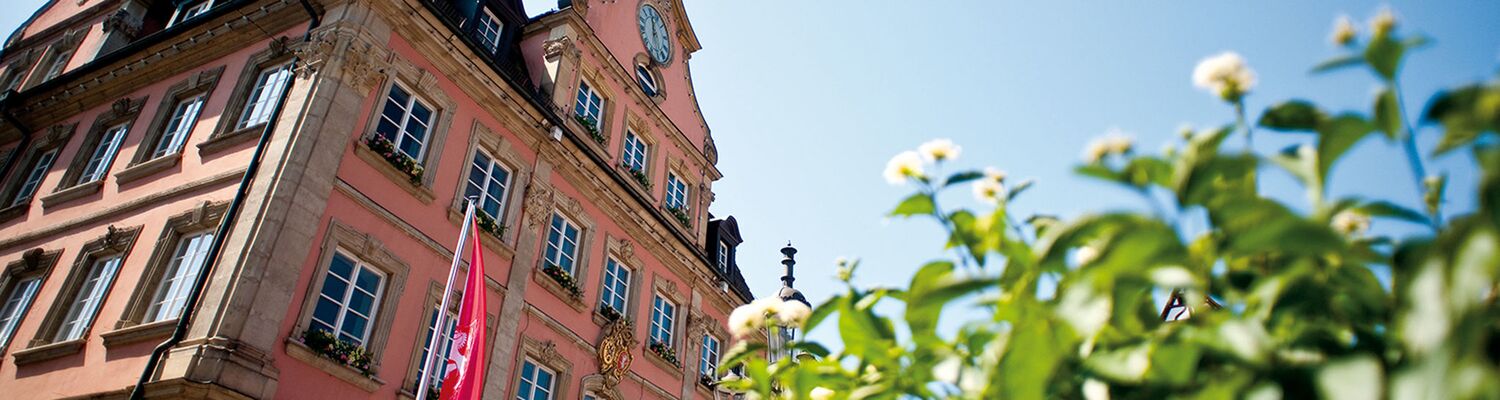 Zu sehen sind weiße Blumen und im Hintergrund das Rathaus Schwäbisch Gmünd