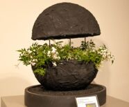 Blumenschau Von der Muse gekuesst