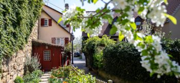 Zu sehen ist das Honiggässle