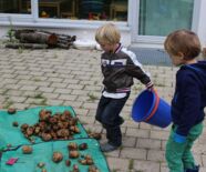 Kindergarten Am Eichenrain