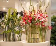 Blumenschau Von der Muse gekuesst