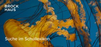 Link zum Brockhaus-Schullexikon. Die abbildung zeigt eine gelbe Qualle mit zahlreichen Nesselfäden vor einem blauen Meereshintergrund.