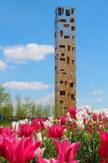 Ein Bild des Aussichtsturm Himmelsstürmer im Landschaftspark Wetzgau, Blumen im Vordergrund
