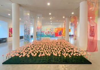 Installationsansicht "Nature on my Mind". © Museum im Prediger, Foto: Joachim Haller