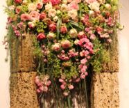 Rosenschau  Hommage an eine Königin