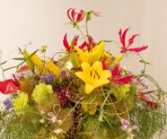 Blumenschau Von der Muse gekuesst