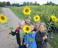 Kindergarten Am Eichenrain