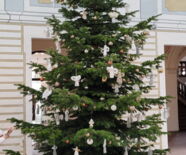 Zu sehen ist der geschmückte Wunschbaum im Prediger.