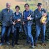 Die Musiker der Band mit ihrem Instrumenten.