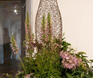 Blumenschau Von der Muse gekuesst