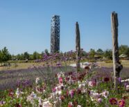 Himmelsgarten Blick zum Himmelsstürmer