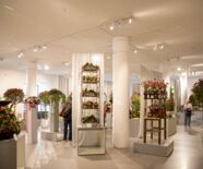 Blumenschau "SCHWÄBISCHES LEBENSGEFÜHL"