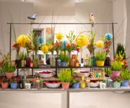 Blumenschau Rendezvous mit dem Leben