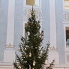 Zu sehen ist der Weihnachtswunschbaum im Prediger