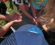 Kinder beim Wasserspiel