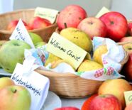 Garten Gold und Gsälz verschiedene Apfelsorten