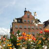 Zu sehen sind Blumen in einem Blumenkasten vor dem Gmünder Rathaus