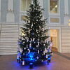 Zu sehen ist der Weihnachtswunschbaum im Prediger
