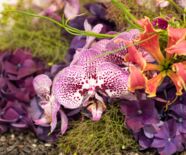 Blumenschau Von der Muse gekuesst