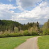 Zu sehen ist ein Wanderweg Richtung Wald