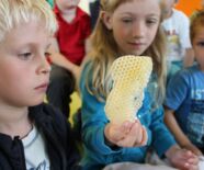 Kindergarten Am Eichenrain