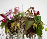 Blumengesteck der 6. Blumenschau mit dem Thema Pure Lebensfreude