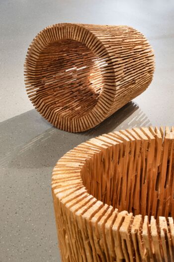 Joseph Stephan Wurmer: Lichter Raum XII, 2008, Weide (Ausschnitt, vorne), Lichter Raum LXXXV, 2021, Thuja (hinten). © Museum im Prediger, Foto: Frank Kleinbach, Stuttgart.