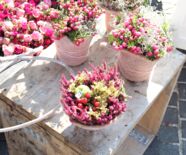 Garten Gold und Gsälz Blumengestecke