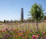 Himmelsgarten Blick zum Himmelsstürmer