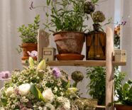 Blumenschau Von der Muse gekuesst