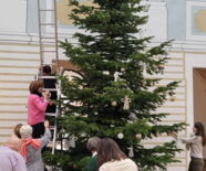 Zu sehen ist der Verein Inner Wheel beim schmücken des Wunschbaums.