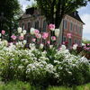 Zu sehen ist der Stadtgarten in voller Blüte mit dem Rokokoschlösschen
