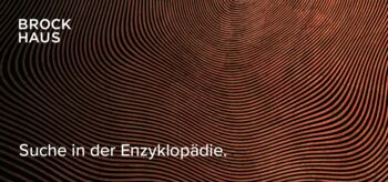 Link zur Suche in der Brockhaus-Enzyklopädie. Das Bild zeigt eine Struktur, die an Jahresringe oder an einen Fingerabdruckt erinnert.