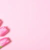 Pinke Tulpen auf pinkem Hintergrund.