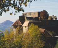 Blick auf die Burgruine im Sommer