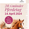 Zu sehen ist das Cover des Gmünder Pfedetages