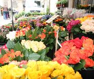 Ein Bild vom Wochenmarkt auf dem Münsterplatz: frische Schnittblumen