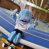 Zu sehen sind die Kinder in der Turni-Tobe-Halle